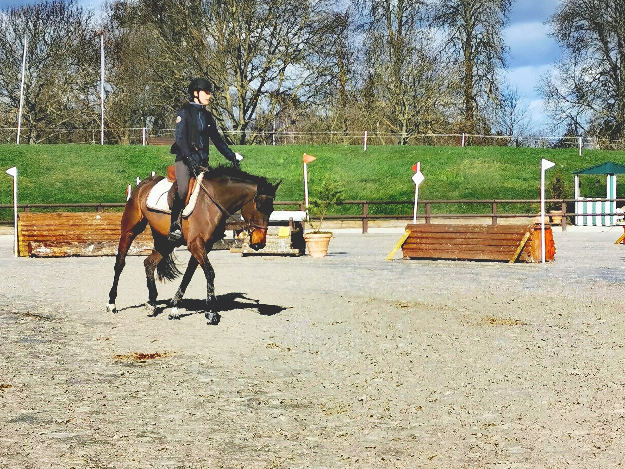 Fiches pédas pour enseignants d'équitation et cavaliers - Horseasy