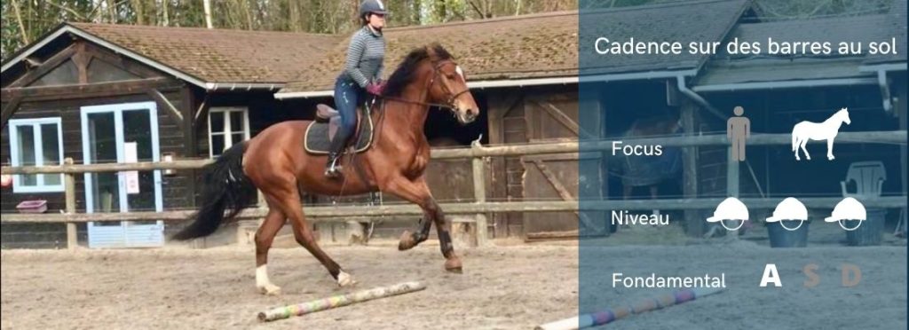 Travail de la cadence au galop sur des barres au sol